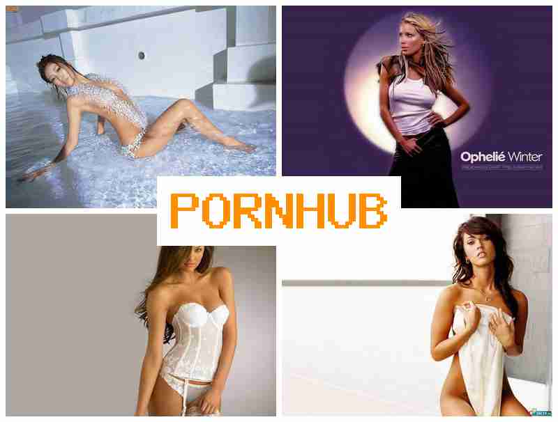 PO4N HUB 🔞 Shy Webcam Porn PO4N HUB 🔞 Shy Webcam Porn