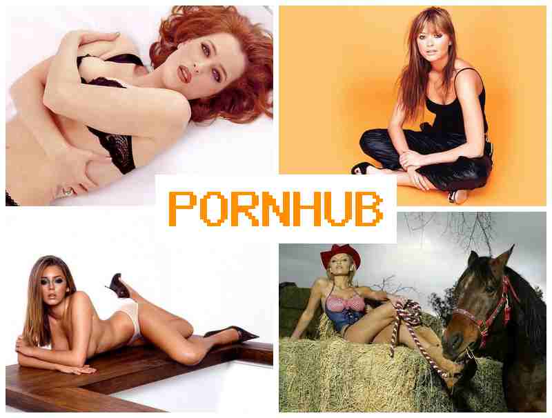PORNHUG 🔵 XXX Sex XXX Webcam Porn